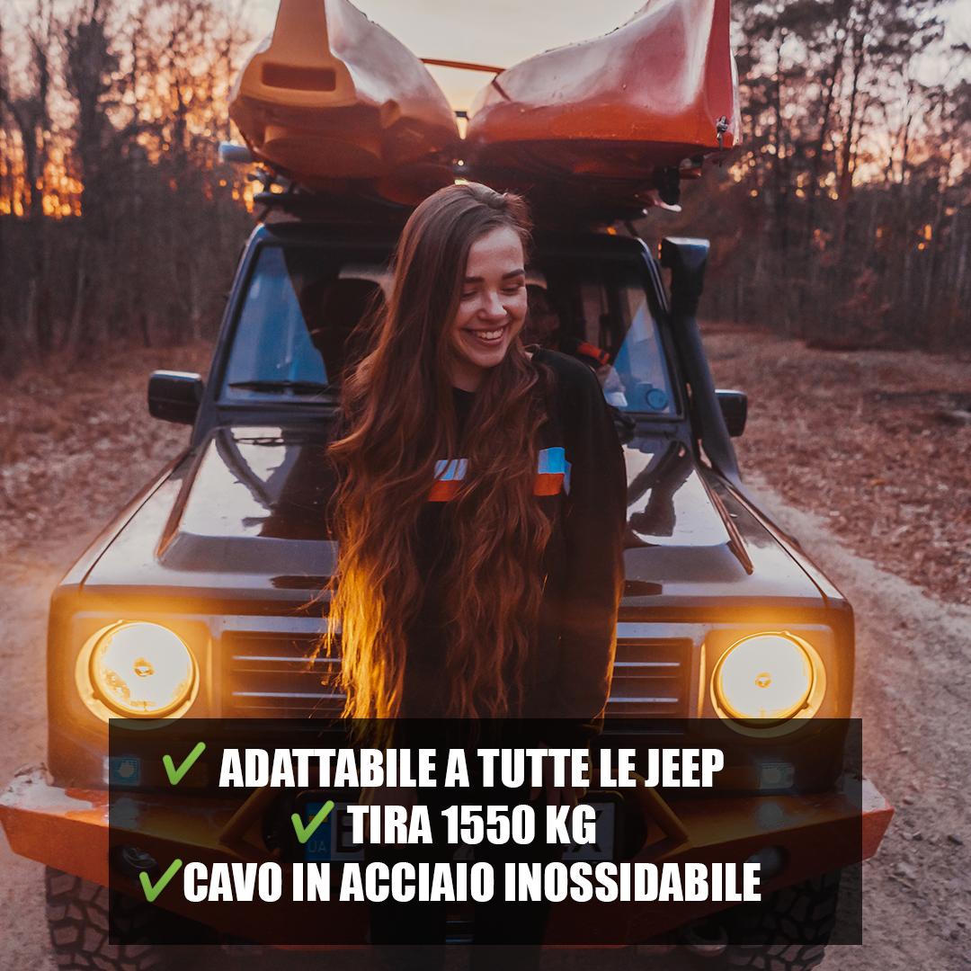VERRICELLOELETTRICO1.png